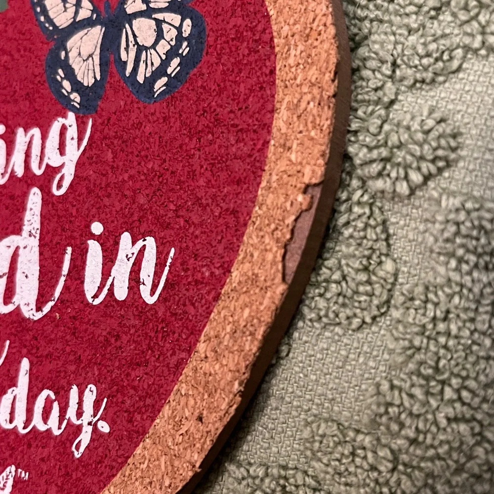 Dolly Parton AppleThemed Kitchen Set Towel Decor Candle Sponges Trivet Potholder